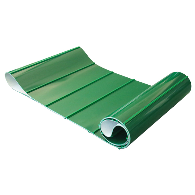 Nastro trasportatore in PVC ve - Food Snacks That Are Green recensione e prezzo