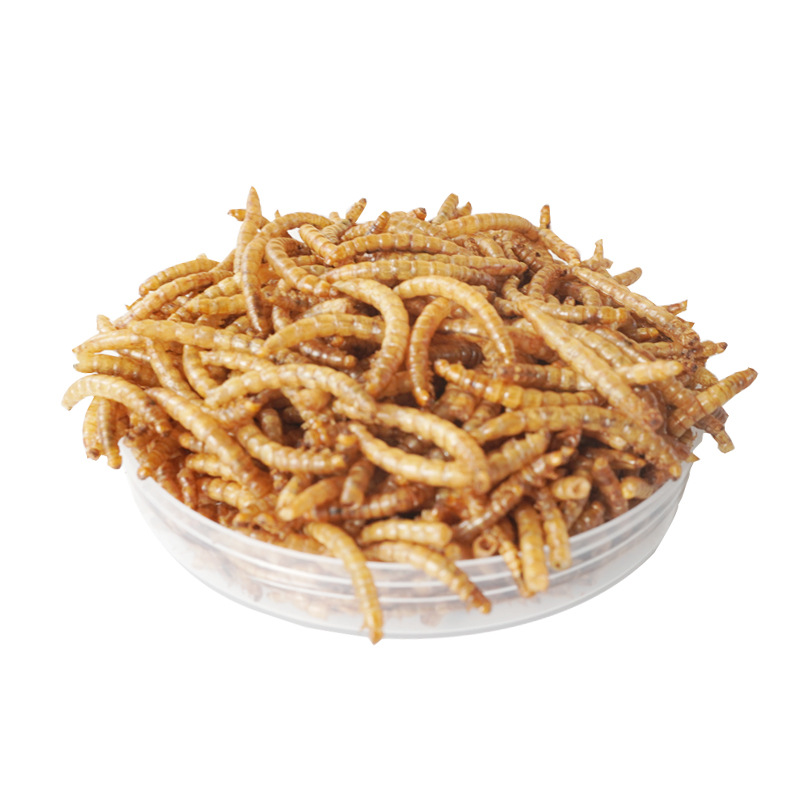 Snack ad Alto Contenuto Protei - Food Snacks High In Protein recensione e prezzo